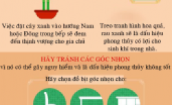 Những đại kỵ phong thủy nhà bếp cần tránh Những đại kỵ phong thủy nhà bếp cần tránh